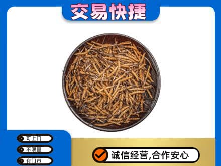 涿鹿县高价回收散虫草